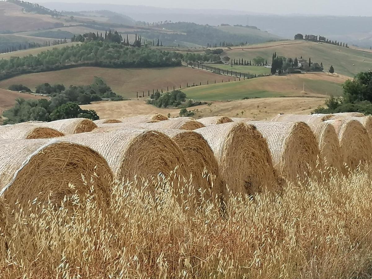 Casa Vacanze Carducci San Casciano dei Bagni Εξωτερικό φωτογραφία